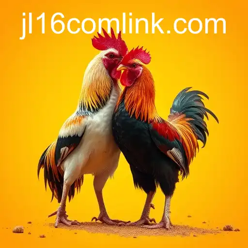 Exploring Online Sabong on JL16.com